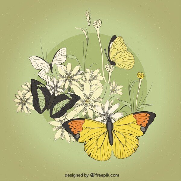 复古蝴蝶和花卉图片
