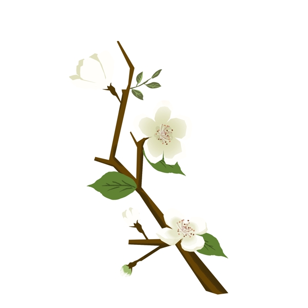 春天元素梨花白色花朵花枝花卉手绘简约风4