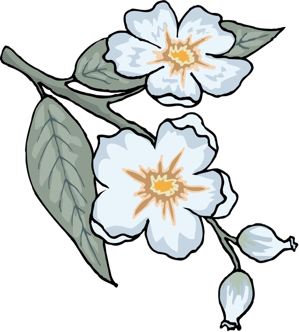 花朵花草鮮花矢量EPS格式1319