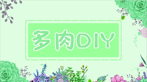 多肉