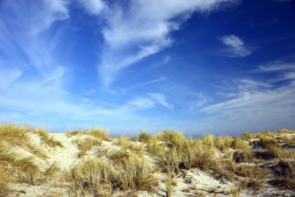 沙丘景观沙滩蓝天白云8k