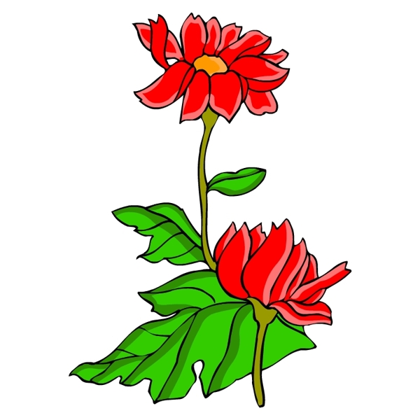 花卉古典插畫