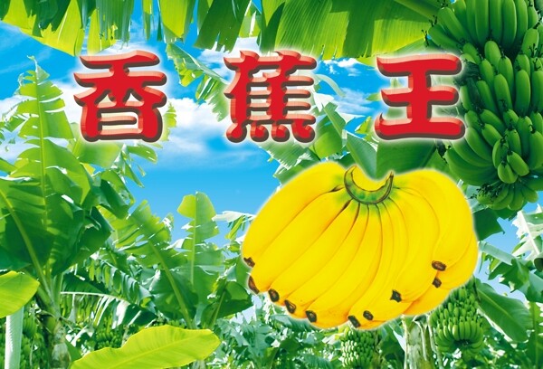 香蕉王