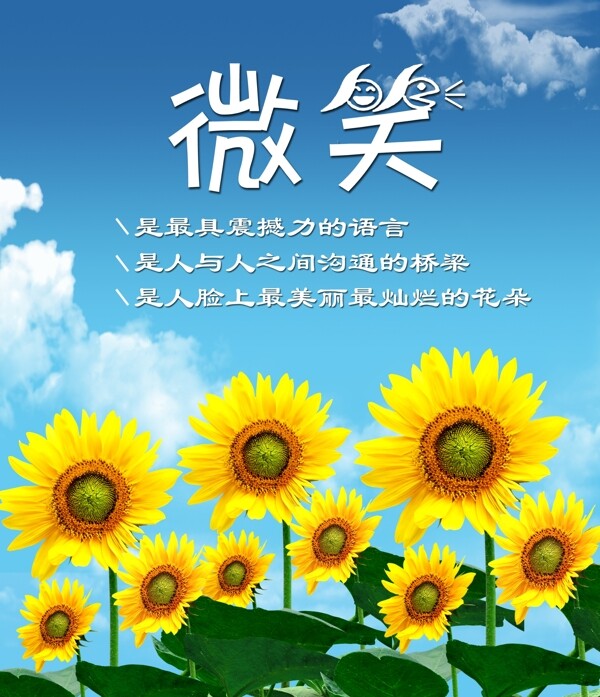 班級(jí)文化圖片