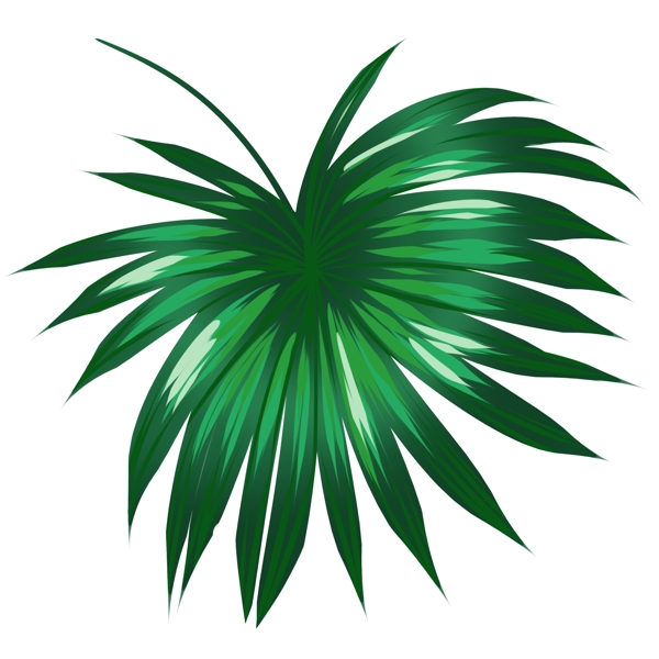 创意热带植物绿叶插图