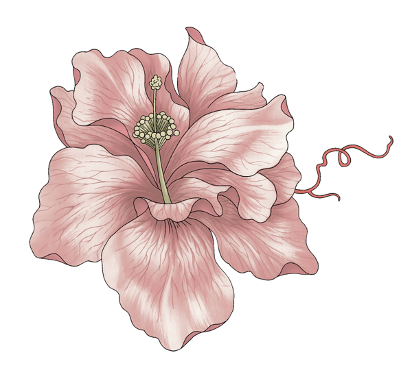 位圖成熟優(yōu)雅女裝T恤圖案毛衫印花優(yōu)雅植物免費(fèi)素材