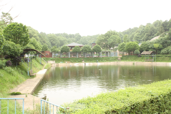 魚塘風(fēng)景圖片
