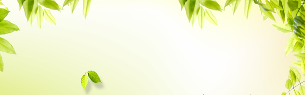創(chuàng)意時尚小清新背景