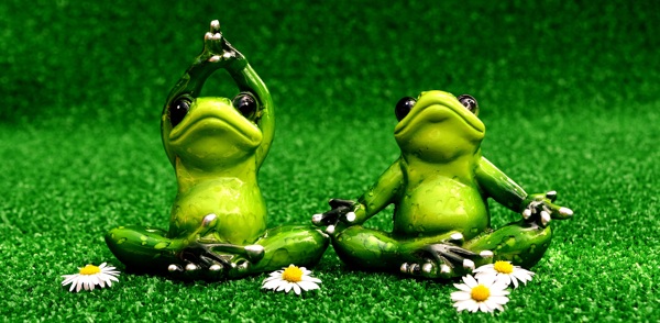 另类青蛙瑜伽