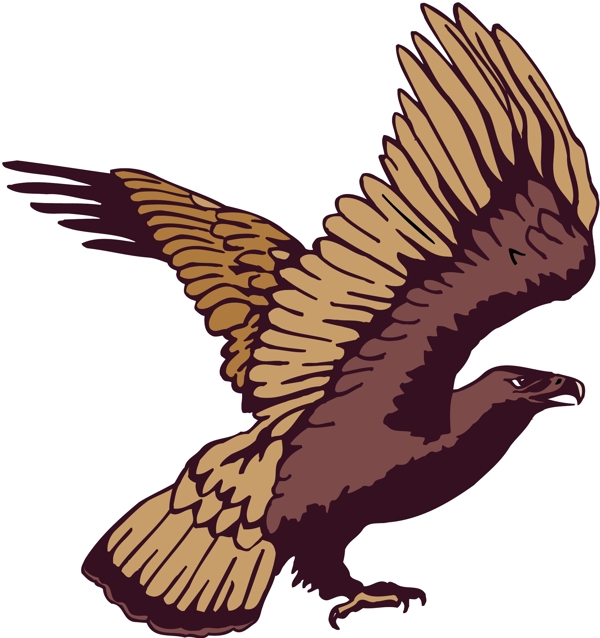 各種鳥類鳥動物矢量素材EPS格式0800