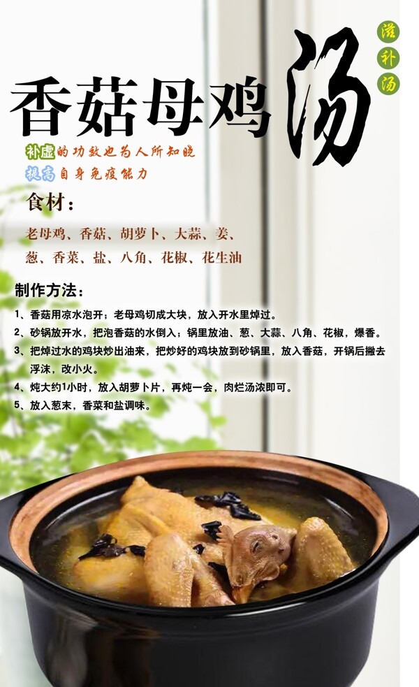 香菇母鸡汤砂锅炖鸡
