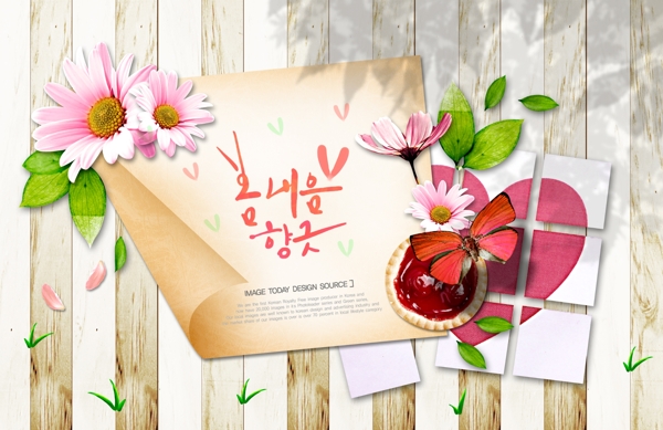 韩国风格插画花卉