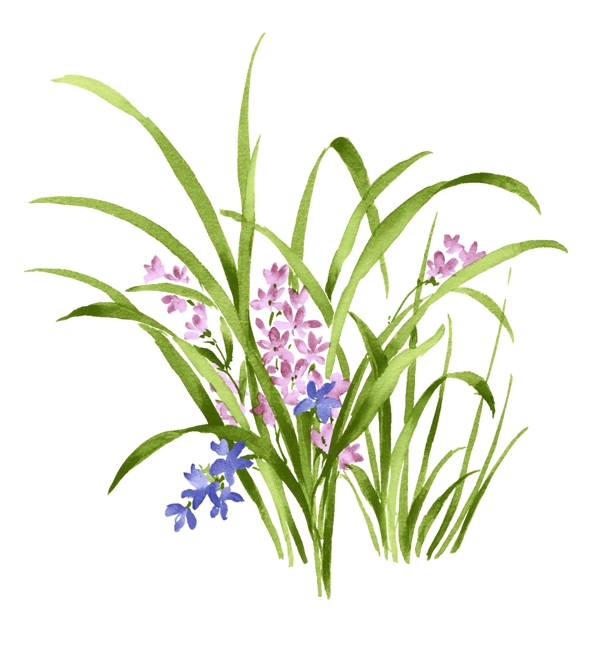 花草分層