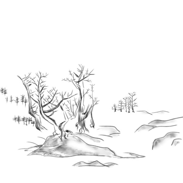 中国风水墨写意山石枯树风景手绘