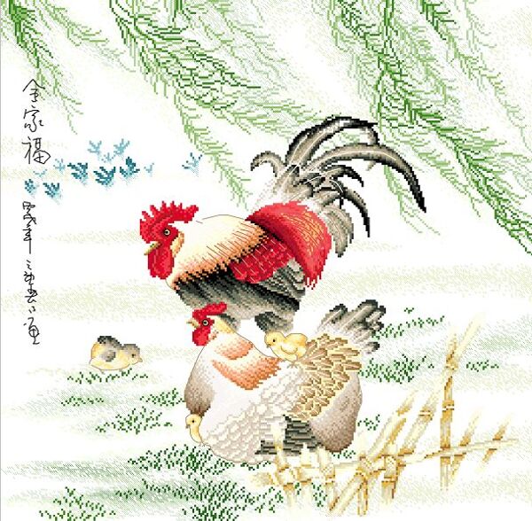 十字繡全家福雞圖紙圖片