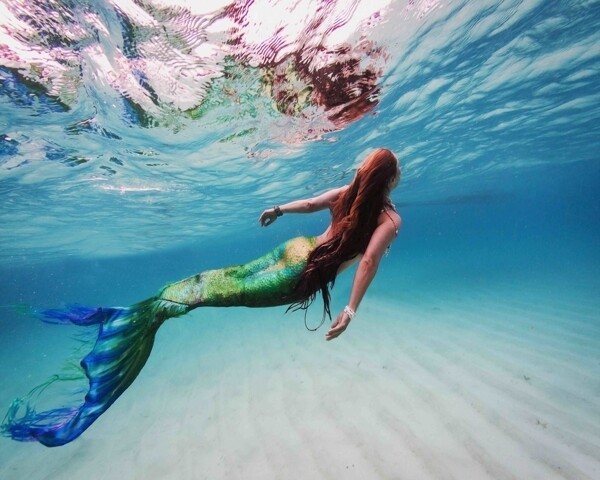 美人魚