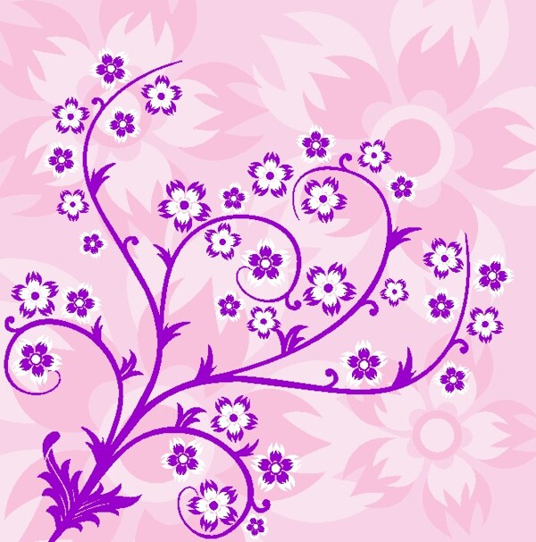 歐美花紋8096矢量CDR