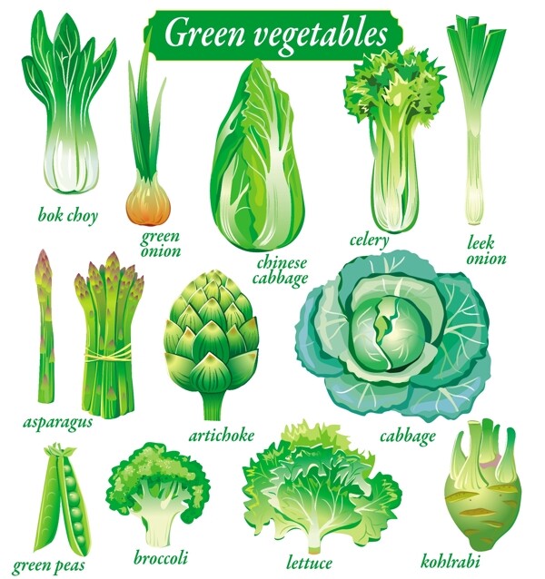 蔬菜手绘蔬菜包菜菠菜