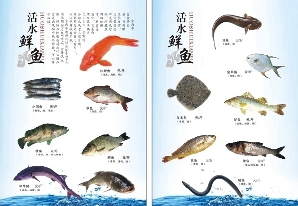 菜譜活魚篇圖片