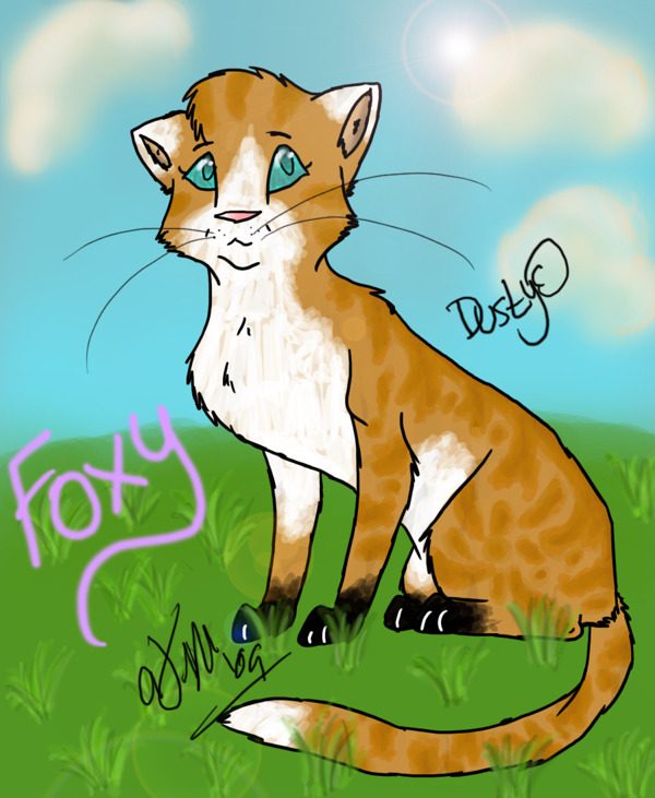 另一個(gè)Foxy