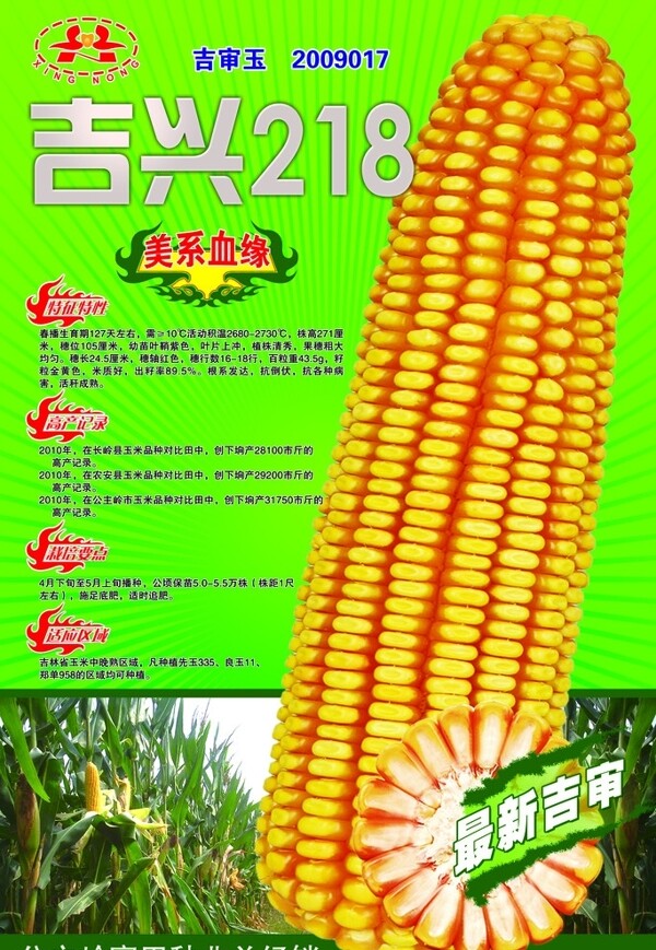 吉興218圖片