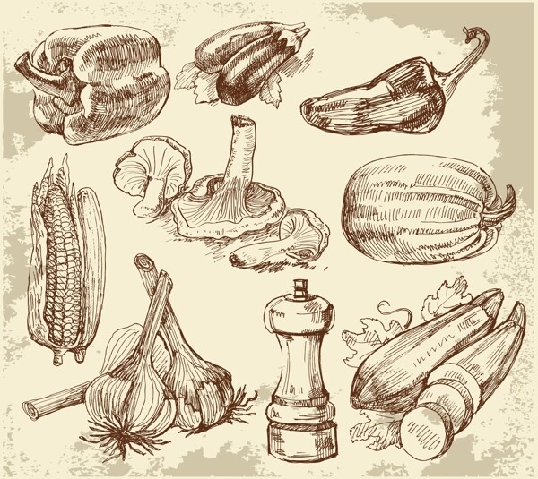 素描廚房用品