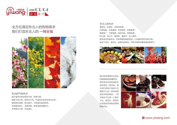 一網(wǎng)全城企業(yè)宣傳冊(cè)