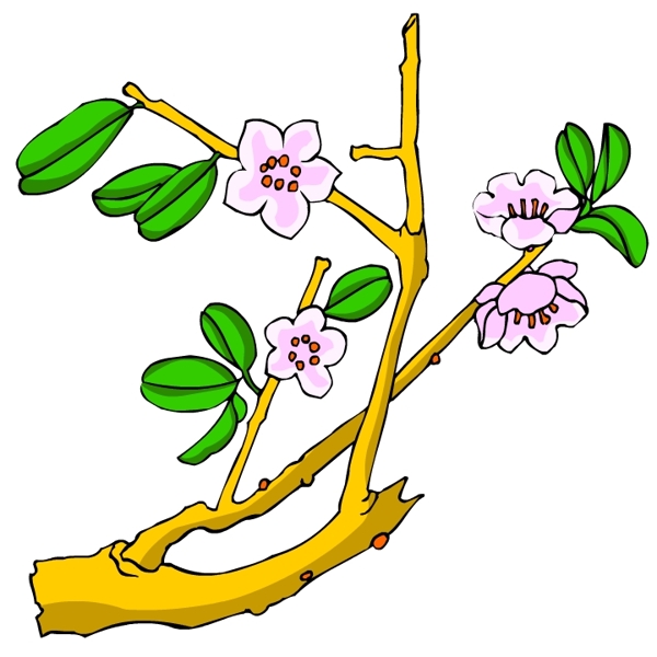 花卉古典插畫