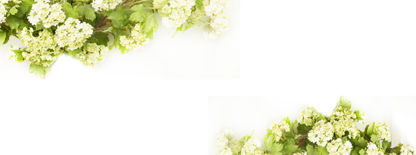 banner唯美海報(bào)