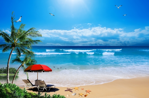 大海海滩椰树蓝天图片