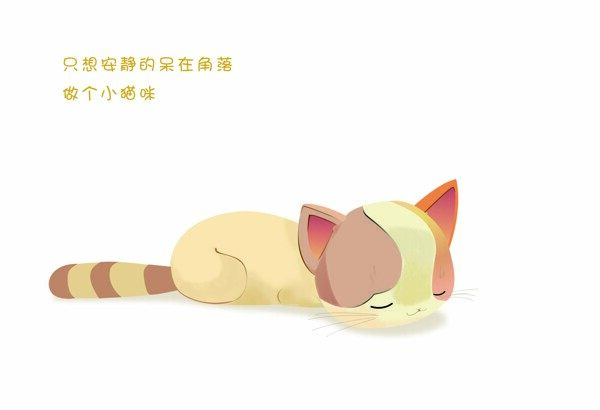 貓圖片
