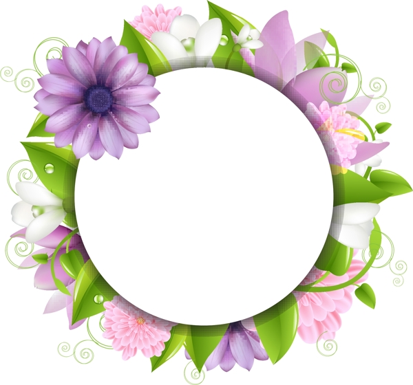 矢量精美鮮花邊框花邊素材