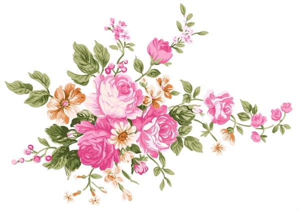 玫瑰花
