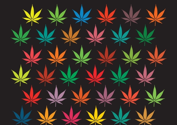 楓葉圖片
