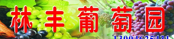 葡萄圖片