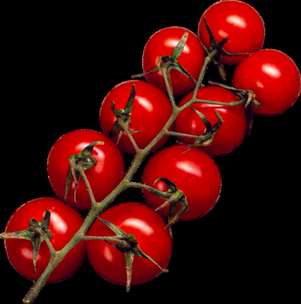 红色小番茄png免扣素材