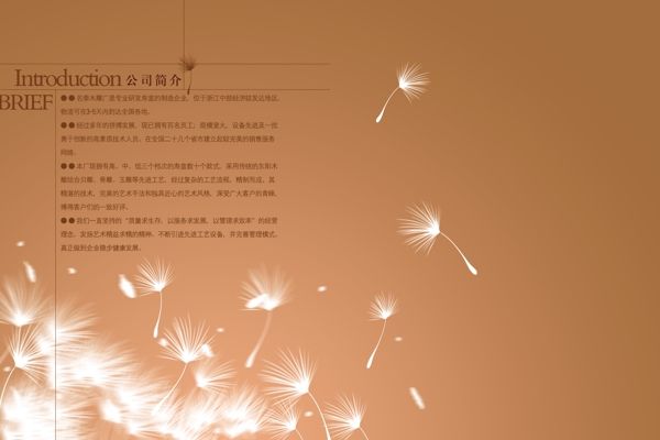 公司簡介畫冊(cè)封面圖片