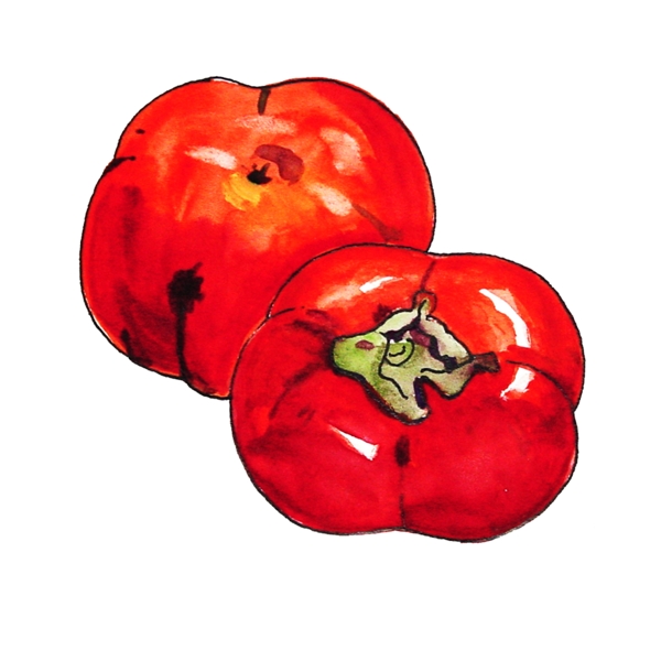 红彤彤的番茄