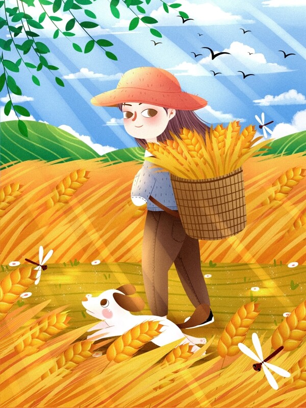 24節(jié)氣之芒種插畫
