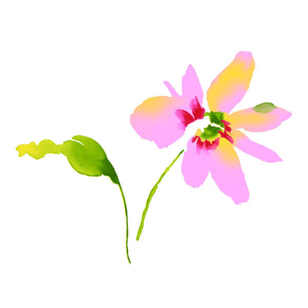 位圖植物寫意花卉花朵野花免費(fèi)素材