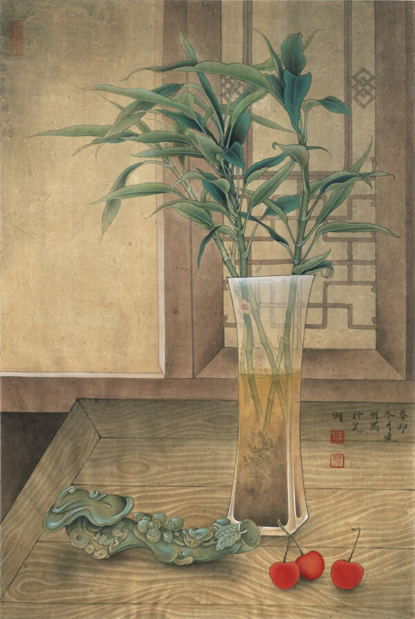 富貴竹圖片