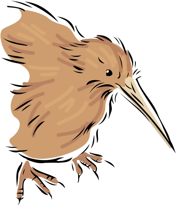 各種鳥類鳥動物矢量素材EPS格式0326