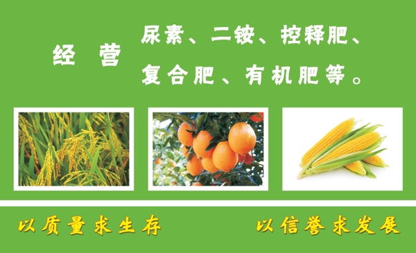 豐躍名片