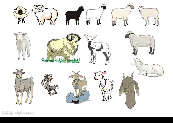 精选CorelDARW矢量图家畜羊图片