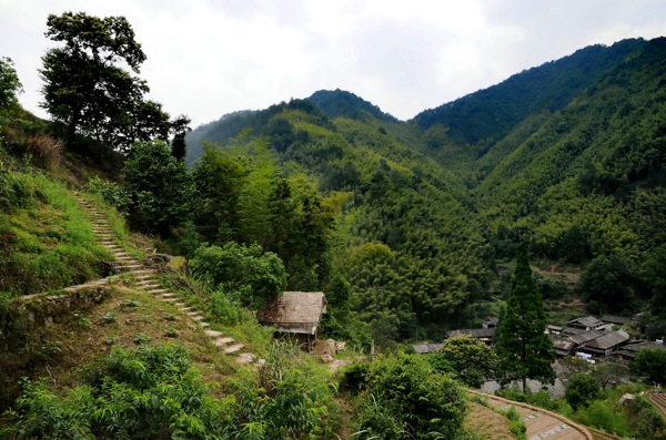 浙江林坑風(fēng)景
