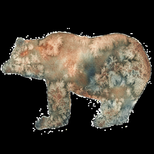 手绘花蕊虚拟熊透明装饰图案