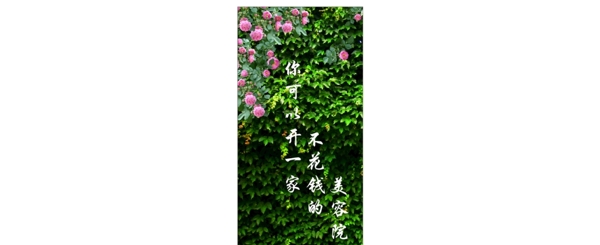 美容院美容中心