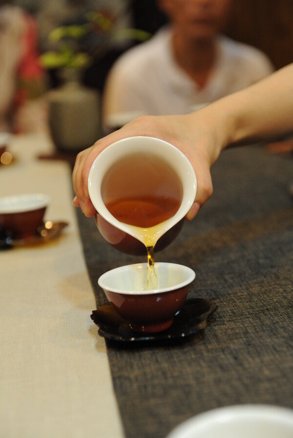 茶文化藝術(shù)