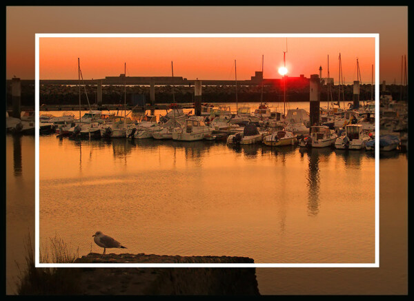 法国勒阿弗尔清晨的港湾图片
