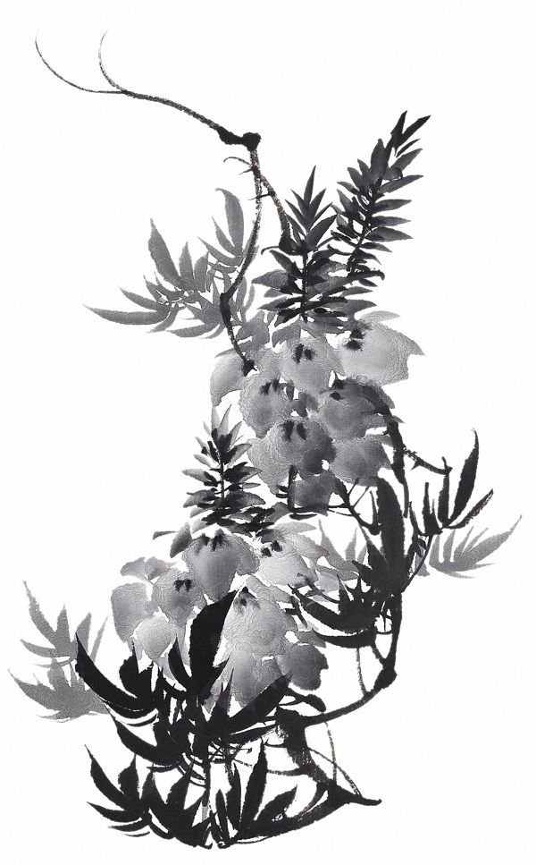水墨植物